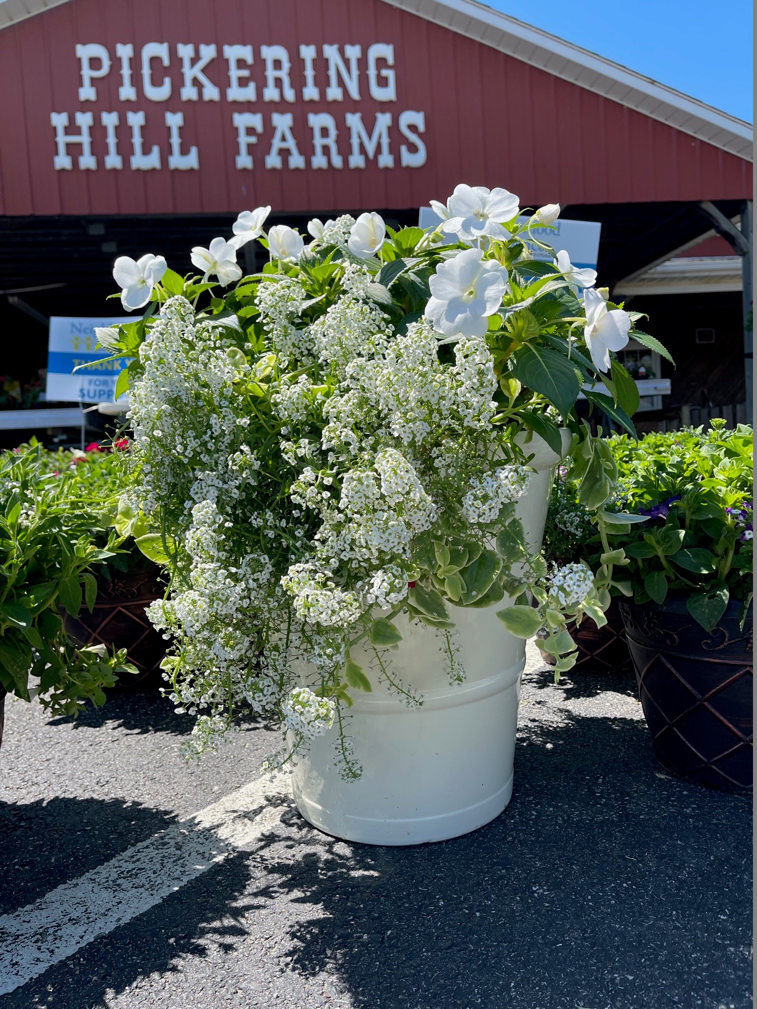 Plant and Flower Sale Neighborhood Alliance